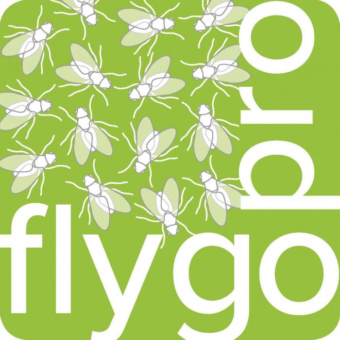 FlyGoPro - Light photo